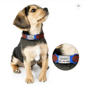 Silent Custom Pet ID Tag: Slide-On Stainless Steel Dog Collar Tag
