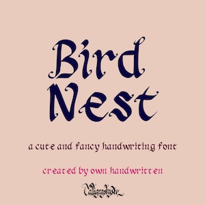 Font Bird Nest - Font scritto a mano, Font Cricut, Font per artigiani, Font Procreate, Font per Cricut, Font Bubbly, Font carino