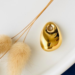 Peut inclure: Un pendentif doré poli, en forme de goutte d'eau avec un trou en haut. Le pendentif réfléchissant repose sur une surface blanche, avec des fleurs beiges séchées en arrière-plan.