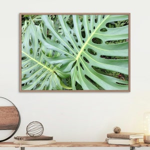 Green Monstera Leaves Digital Samsung Frame TV Artwork