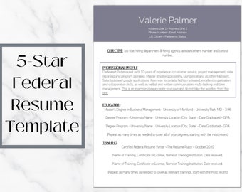 Gray Federal Resume Template