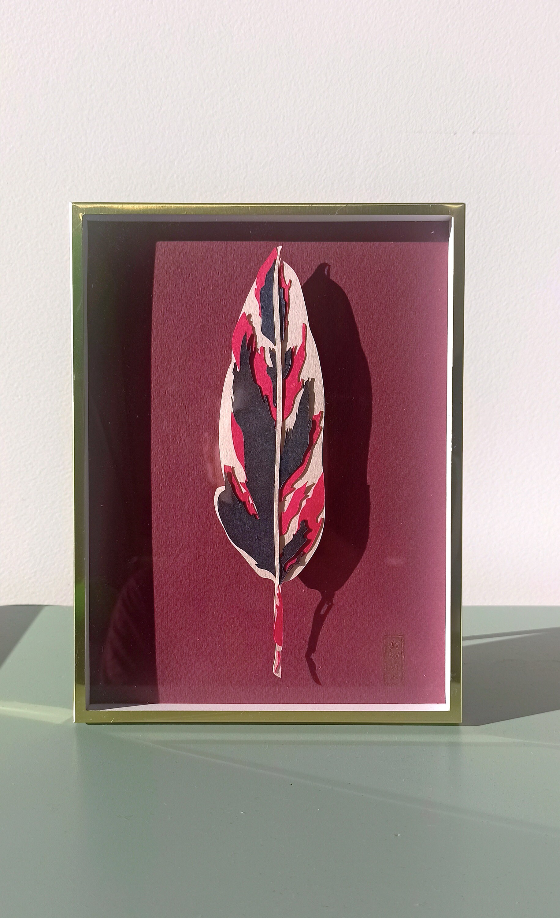 Illustration Volume Jungle- Calathea Triostar Red - Brillante