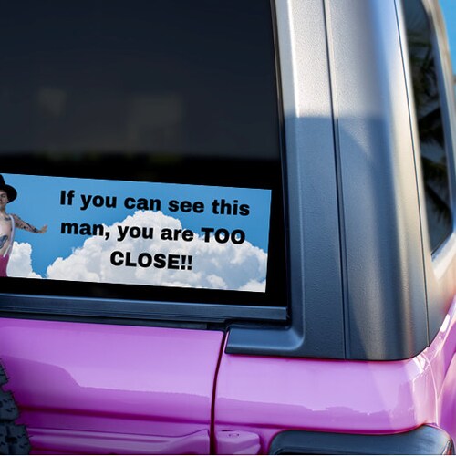 Pilgrim Harry Styles Bumper Sticker - Etsy