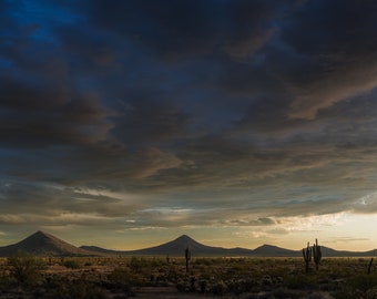 Be Still My Sonoran Desert