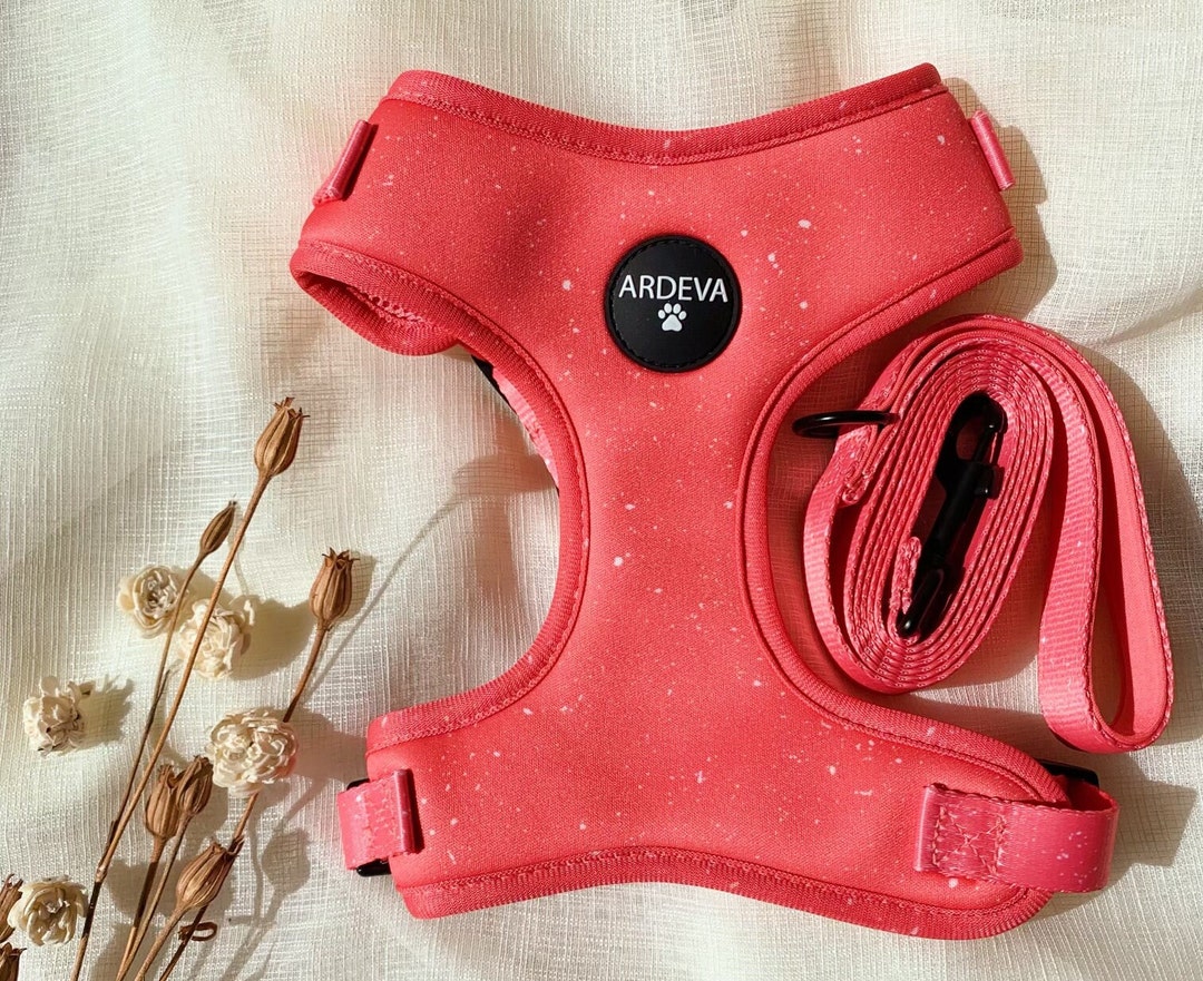 Dog Harness and Leash Set Adjustable and Stylish Neoprene Coral Rose