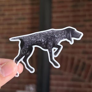 Peut inclure: Un autocollant noir et blanc d'un Braque allemand à poil court courant.