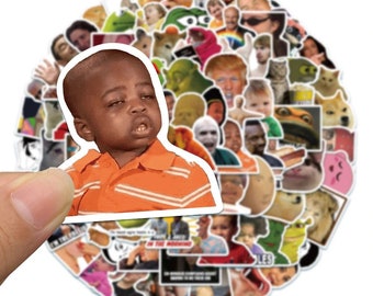 Meme Stickers | Set of 50 | SAME day SHIPPING! | Phone Stickers | Waterbottle stickers | Laptop Sticker