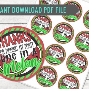 Watermelon Thank You Stickers - DIGITAL DOWNLOAD - One in a Melon - Birthday - Party Favors - Stickers or Tags - Personalization Option