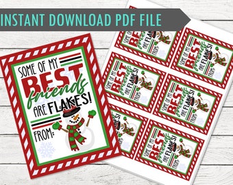 May include: A printable PDF file with a festive design. The design features a snowman and the text "SOME OF MY BEST friends ARE FLAKES!" in red, green, and white. The border is red and white.