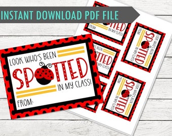 Cute Ladybug Teachers Welcome Tag - Back to School Ladybug Theme - Welcome Students Back! - DIGITAL - Personalization Available