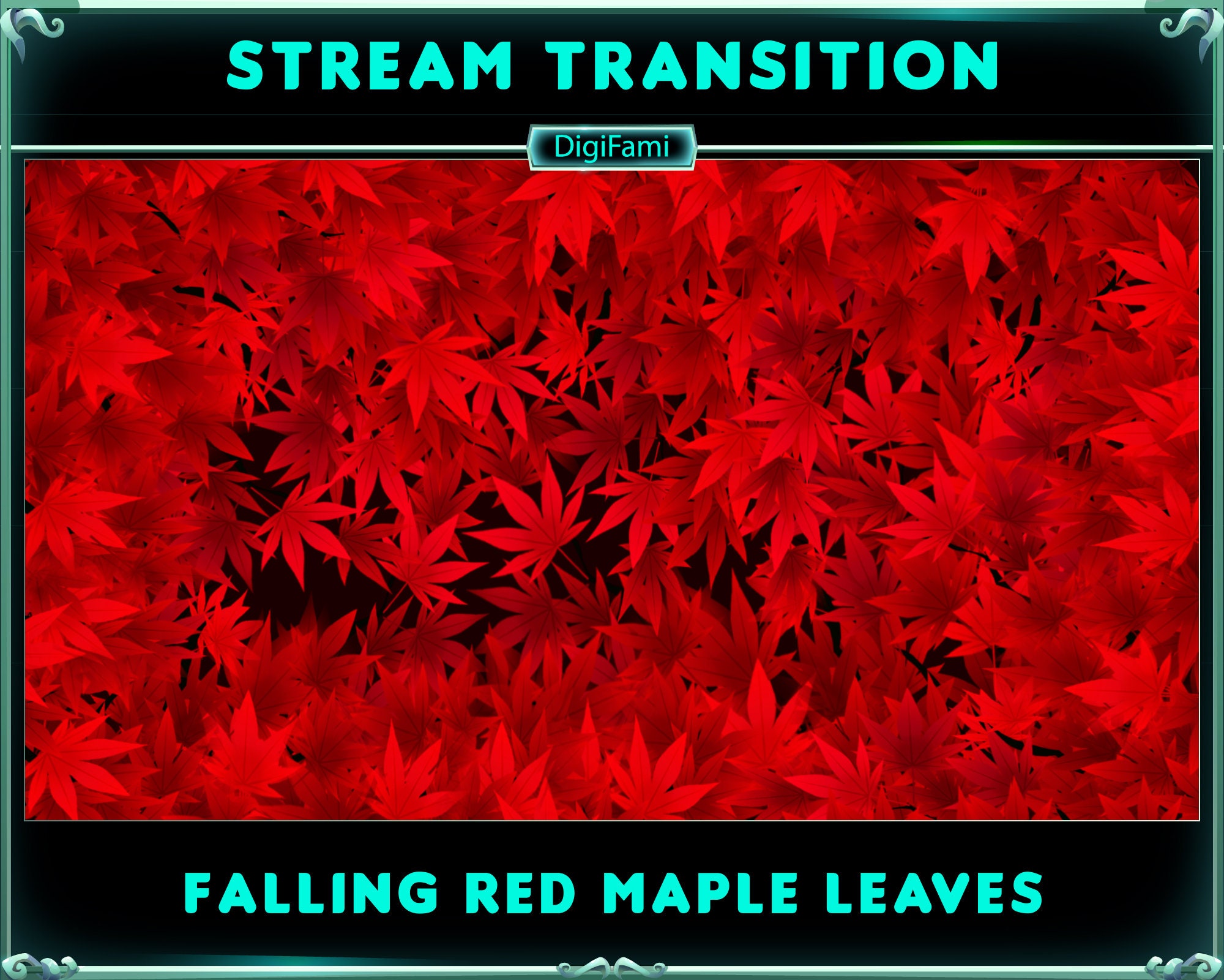 Animated Twitch Transition Red Maple Leaf, Red Maple Leaves Stream ...
