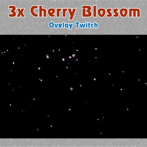以下が含まれることがあります： 黒い背景に、ピンクの桜の花が散らばっている。画像の上部に「3x Cherry Blossom Overlay Twitch」というテキストが表示されている。