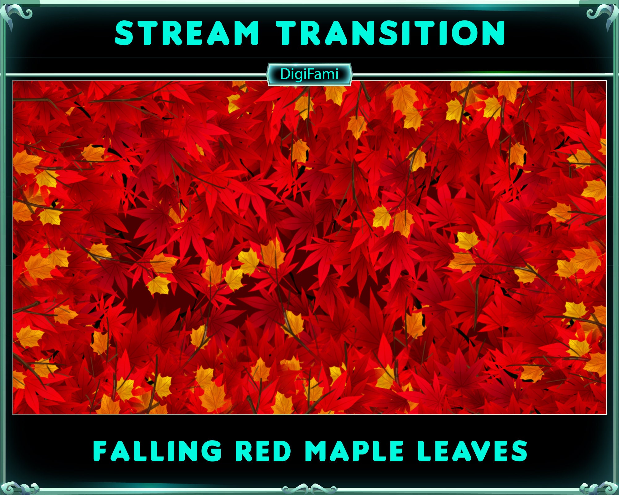 Animated Twitch Transition Red Maple Leaf, Red Maple Leaves Stream ...