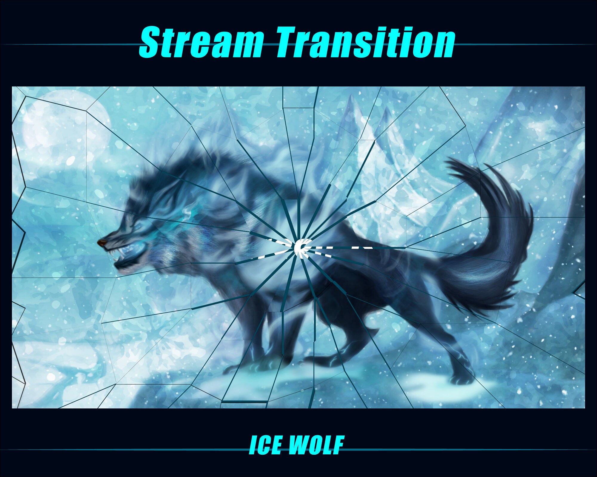 From Youtube To X: Lia Wolf'S Transition - i7axwck