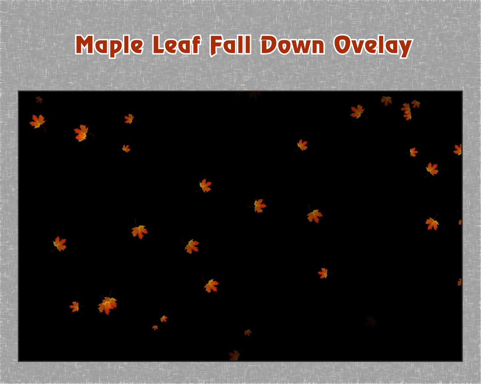 Animated Maple Leaf Falling Down Twitch Overlay / Animated Red Yellow ...