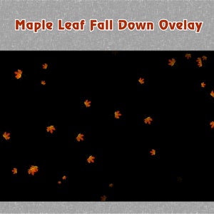 Animated Maple Leaf Falling Down Twitch Overlay / Animated Red Yellow Leaf Falling Down Twitch Overlays for Streaming, Mixer, Discord