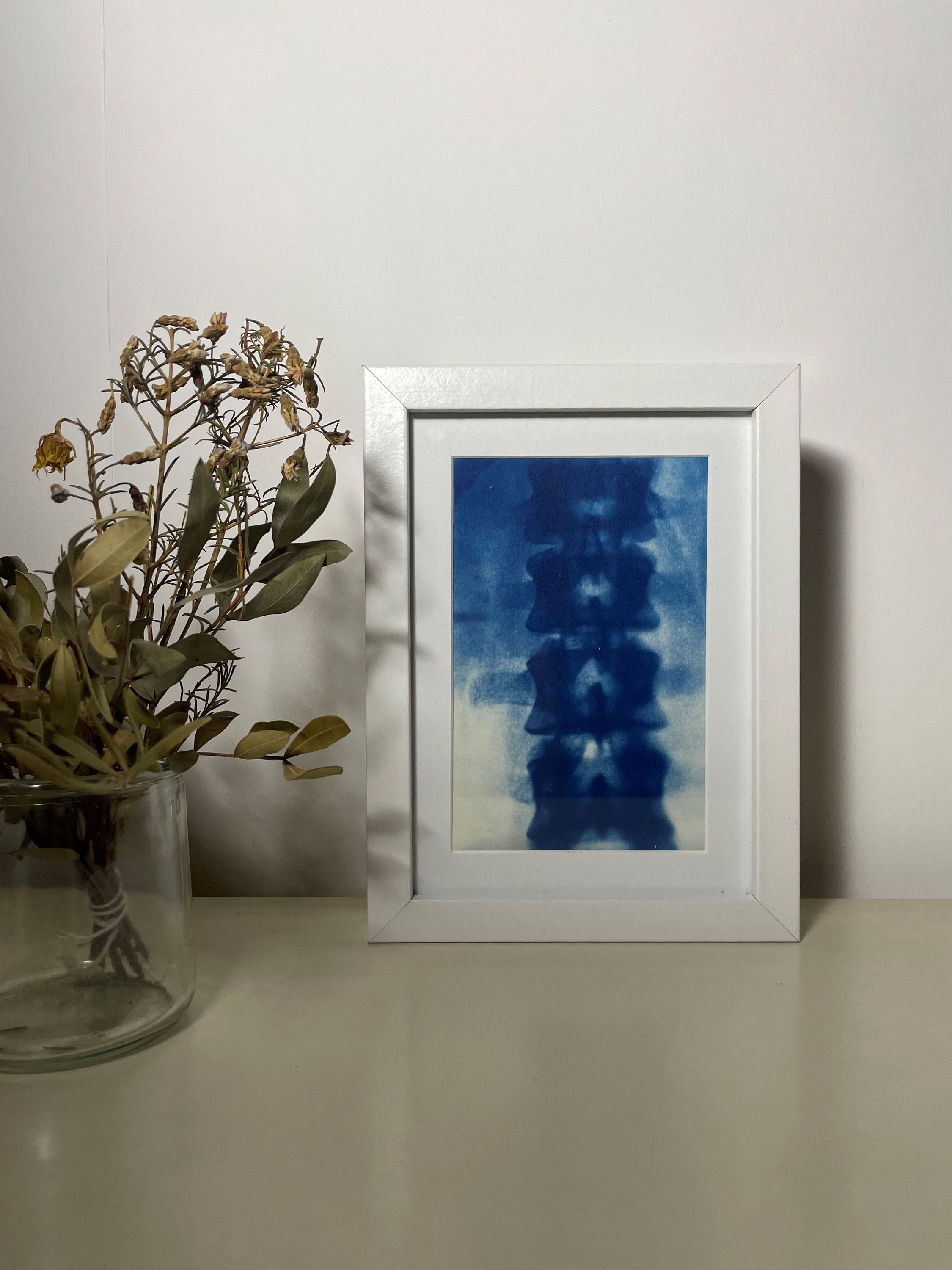 Cyanotype Encadré Anatomie _ Photographie Impression A6 Fait Main, Tableau Pièce Unique