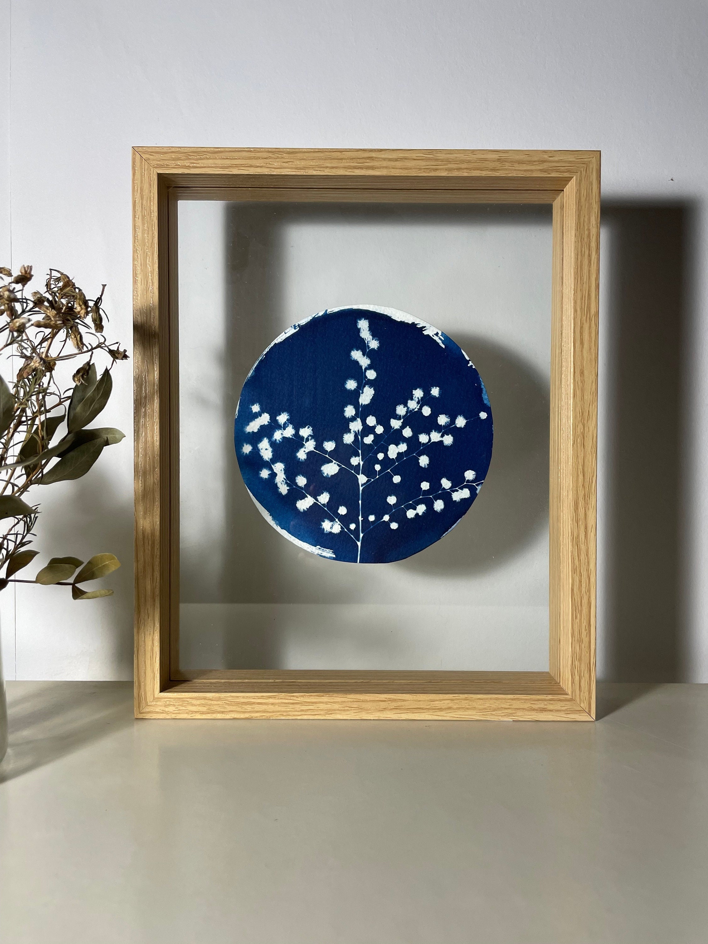 Tableau Botanique, Mimosa _ Impression Cyanotype, Affiche Encadrée Pièce Unique
