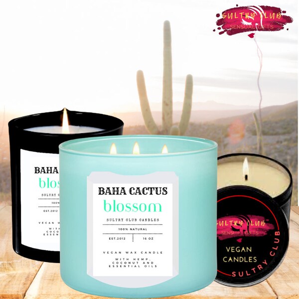 Baha Cactus Vegan Candle 3 Sizes