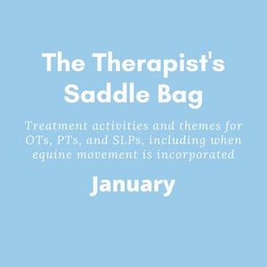 The Therapist&#39;s Saddle Bag- January