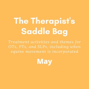 The Therapist&#39;s Saddle Bag- May