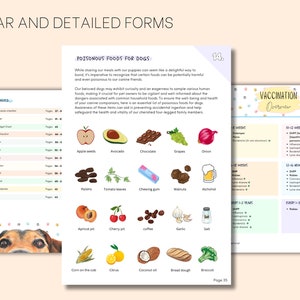 May include: A colorful guide for dog owners with a table of contents, a list of poisonous foods for dogs, and a vaccination schedule for puppies. The guide features illustrations of various foods, including grapes, chocolate, onions, and avocado.