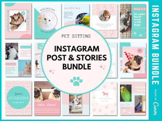 100 Pet Sitting Instagram Template | Pet Sitting Social Media | Pets Instagram | Social Media templates | Pet Bloggers | Pet Business