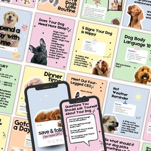 Pode incluir: Uma coleção de modelos digitais para redes sociais com várias raças de cães, incluindo um golden retriever, um bulldog francês e um dálmata, com textos como Dog Body Language 101, Meet Our Four-Legged CEO e Dinner time.