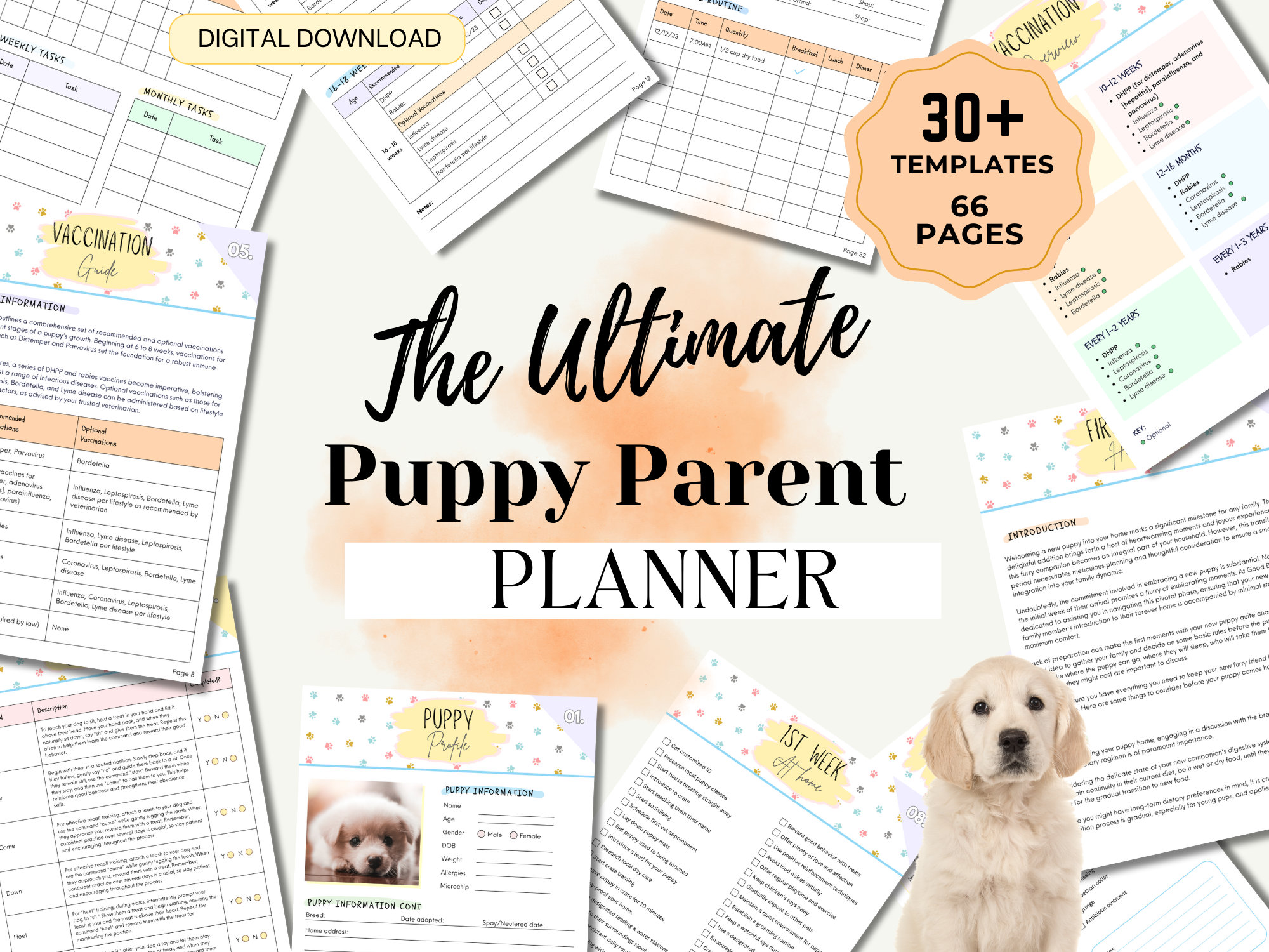 New Puppy Gift 60+ Gift Ideas for 2025