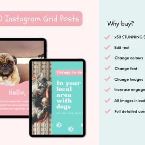 以下が含まれることがあります： ピンクとブルーのカラーリングで2つのInstagram投稿のデジタルモックアップ。最初の投稿は、パグ犬が「Hello, Sed ut perspiciatis unde voluptatem accusantium totam rem aperiam, es」というテキストと共に登場しています。2番目の投稿は、猫が「Things to do In your local area with dogs 8TH SEPT 2022, FROM」というテキストと共に登場しています。