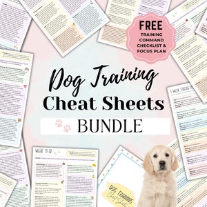 Guías de adiestramiento canino, socialización de cachorros, guía de adiestramiento, obediencia de cachorros, registro de adiestramiento, consejos para cachorros recién nacidos, órdenes para perros