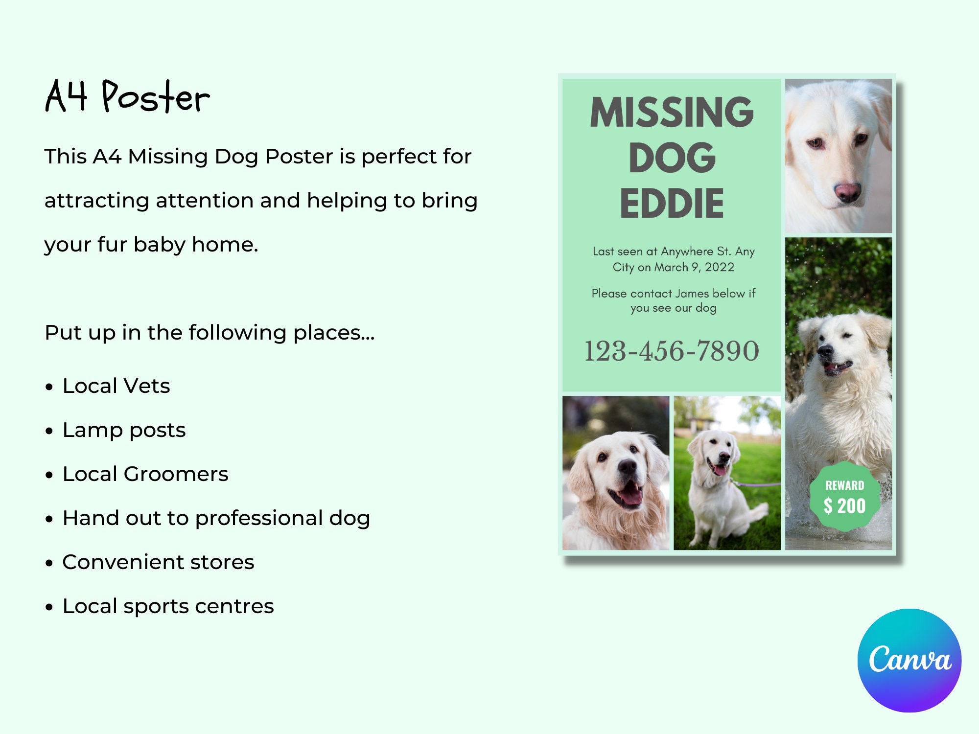 Missing Dog Flyer Missing Dog Poster Missing Dog Template Lost Dog ...