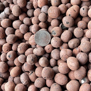May include: A close-up image of a pile of brown clay pebbles. A US quarter is included for scale.