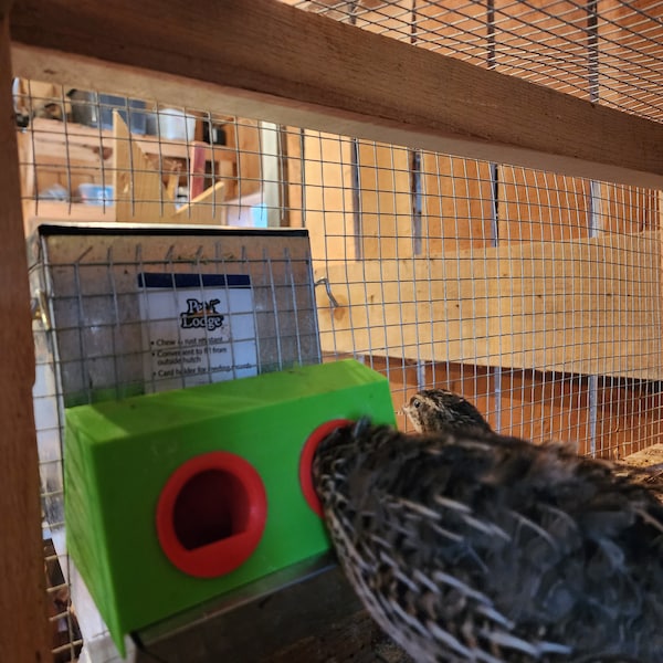 Accesorio de comedero para pollitos y codornices para comedero en forma de J de 5 pulgadas