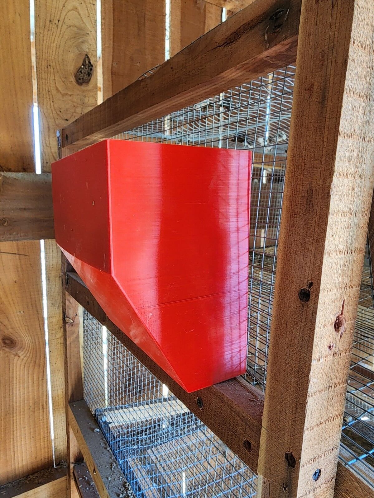 No Waste Quail Feeder With Cover Etsy