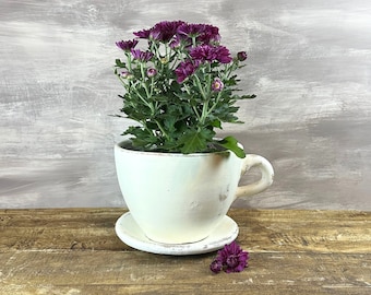 Small White Teacup Planter with Saucer, White Planter, Coffee Cup Planter, Ceramic Planter