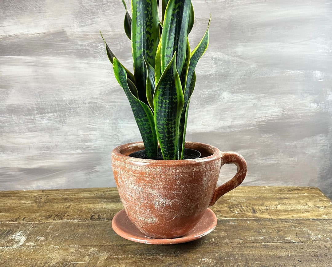Terracotta Teacup Planter With Saucer Coffee Cup Planter Etsy