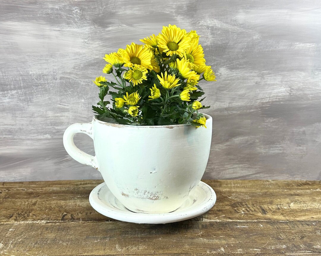 Medium White Teacup Planter With Saucer, White Mug Planter, Coffee Cup