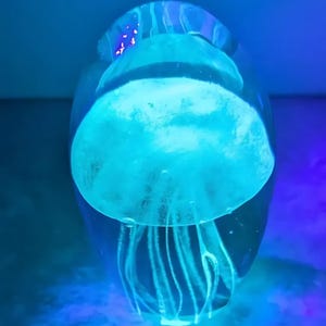 JELLYFISH PAPERWEIGHT Glow under a black light, Glass Paperweight