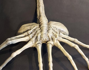 FACEHUGGER FROM ALIEN 1/1 Life-size replica approx 110 cm length Top