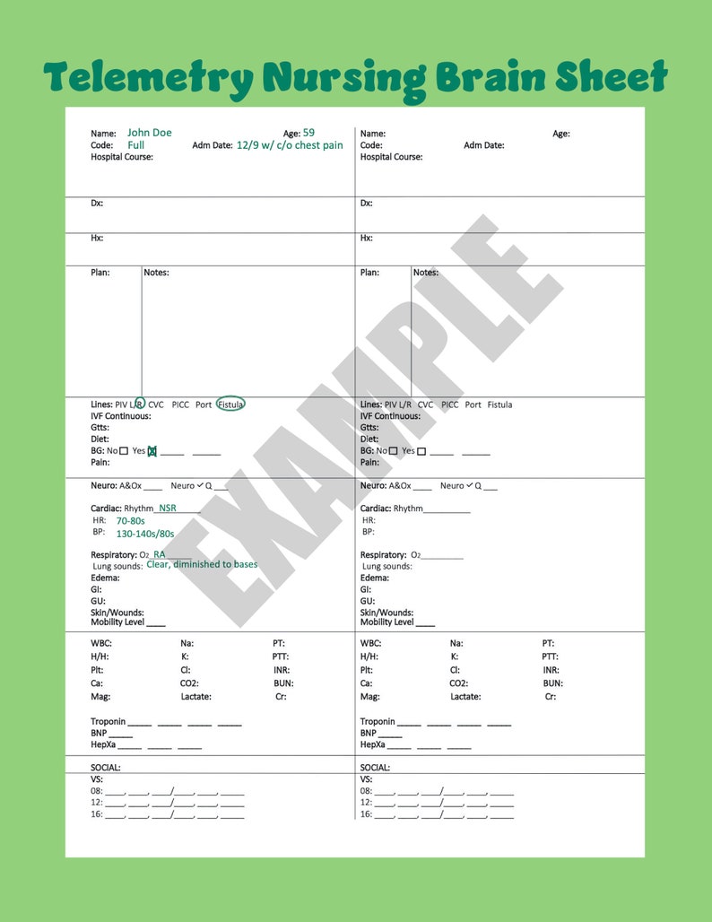 Telemetry Nursing Brain/report Sheet Printable PDF Etsy