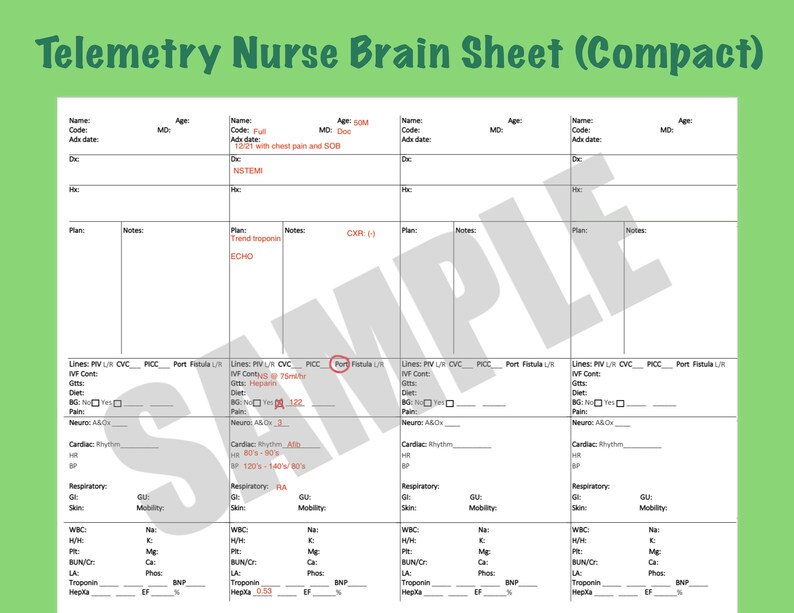 Compact Telemetry Nursing Brain Sheet - Etsy