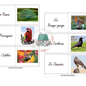 鳥のフラッシュカード | Cartes mémoire D'oiseaux |フランス語 |フランセ |動物 |一致|アニモー