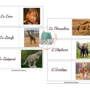 Flashcard desert animals | Carte mémoire d'animaux du desert |french | français