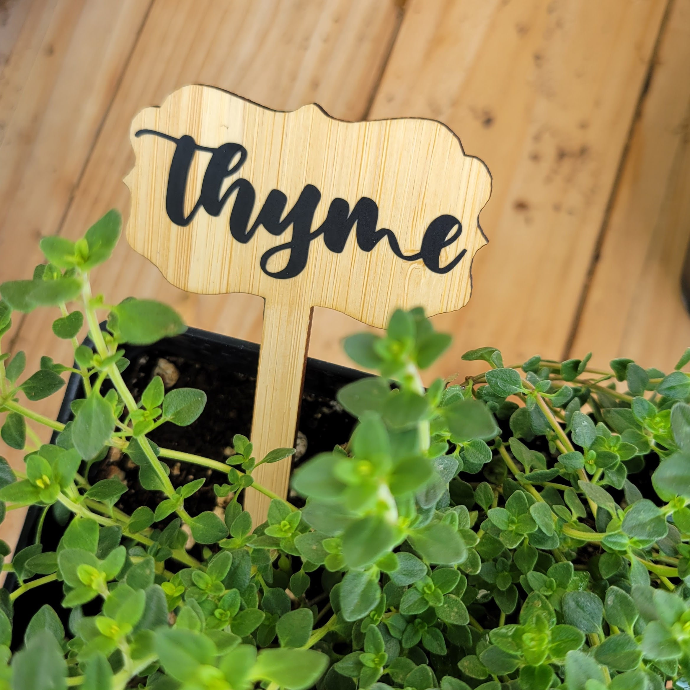 Set of Custom Bamboo Plant Markers Etsy