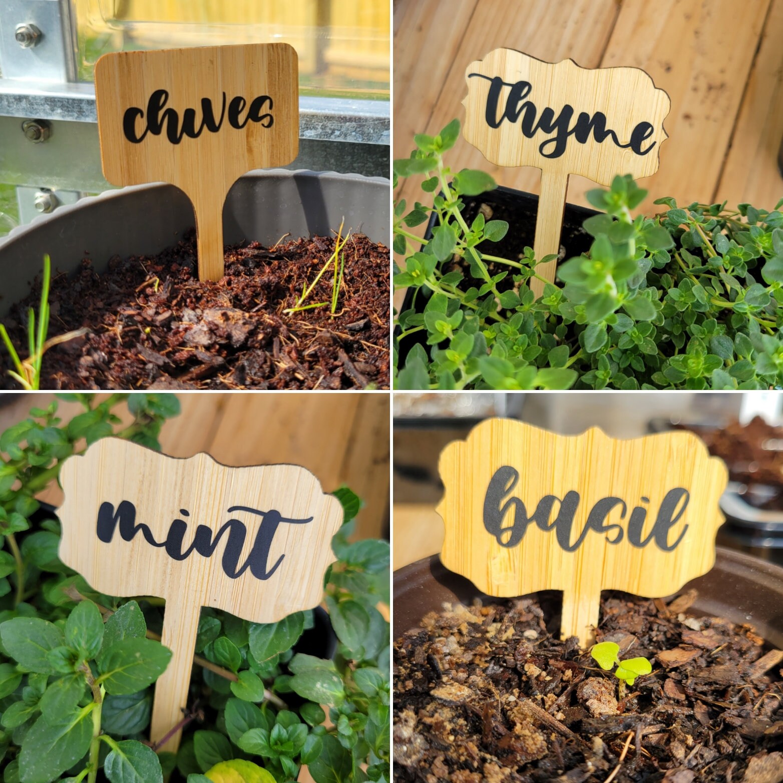 Set of Custom Bamboo Plant Markers Etsy