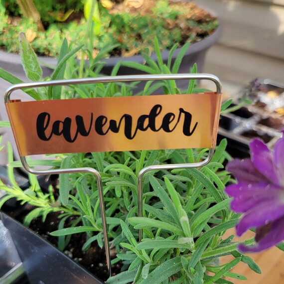 Set of Custom Copper Plant Markers medium Etsy