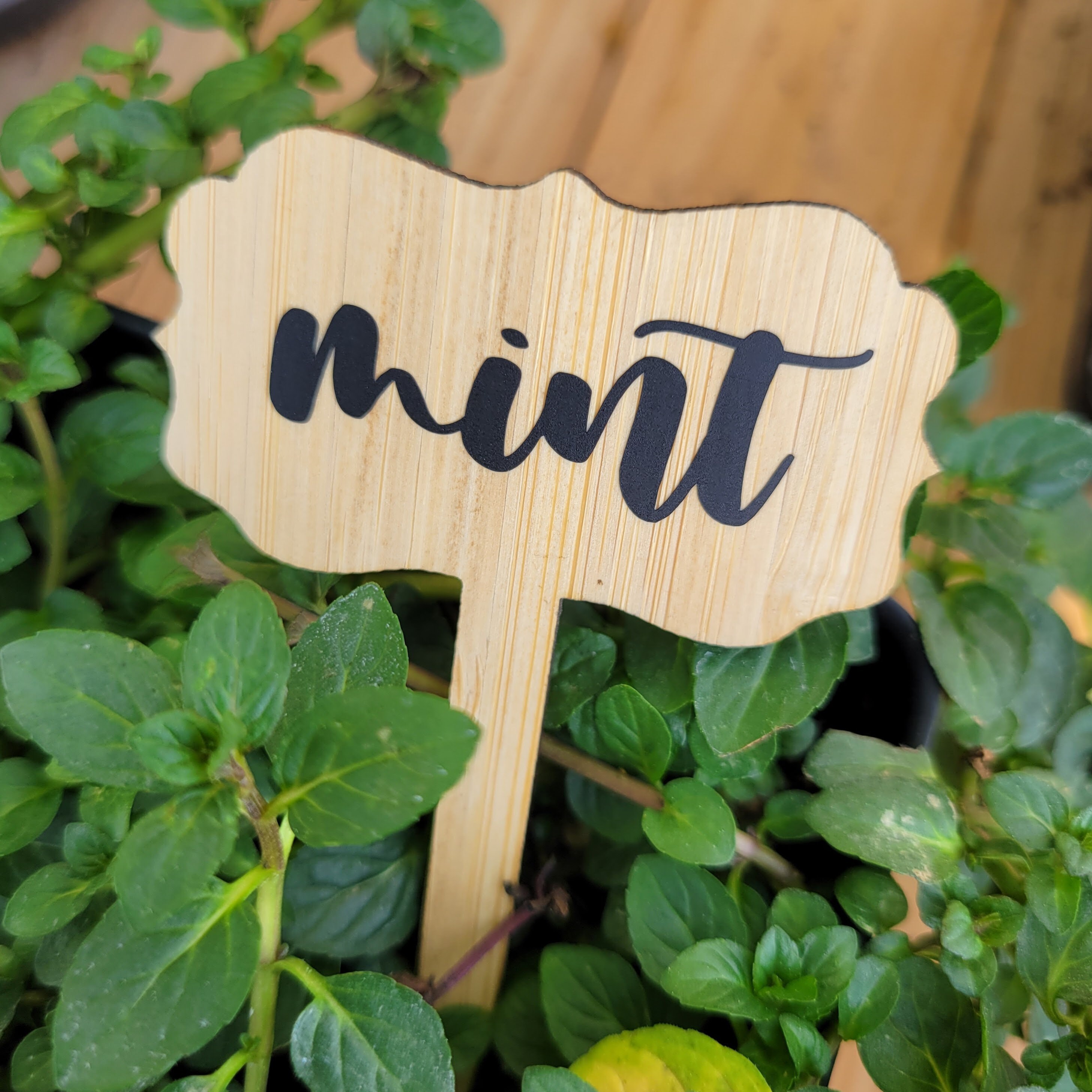 Set of Custom Bamboo Plant Markers Etsy