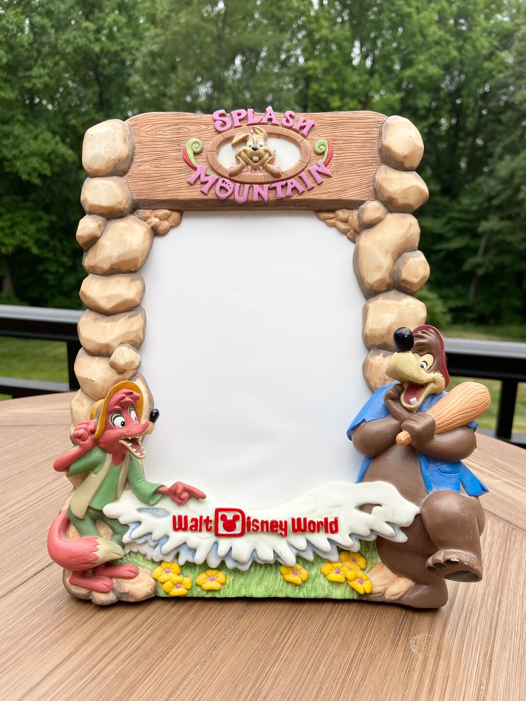 Disney Splash Mountain Picture Frame Etsy