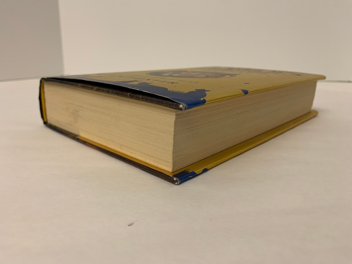 WARRIORS Super Edition Firestars Quest Book 1 Etsy